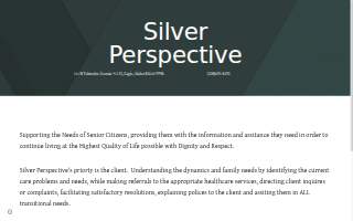 Silver Perspective website