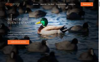 MagMag website