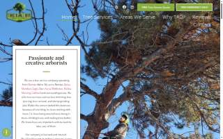 Trees All Day Tree Service website