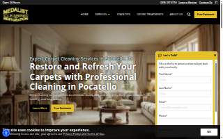 Medalist Cleaning / 24-7 website