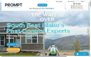 Prompt Pest Solutions website