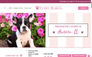Furry Babies Aurora website