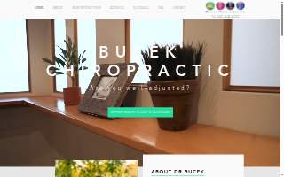 Bucek Chiropractic website