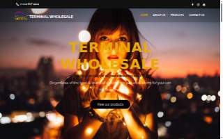 Terminal Wholesale website