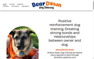 Bear Down Dog Training LLC website