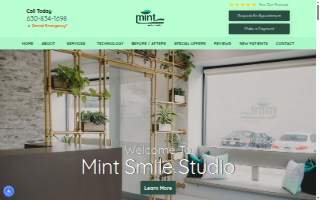 Mint Smile Studio of Bensenville website