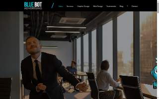 Blue Bot Advertising of Glendale Heights website