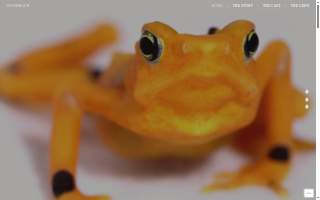 Harbinger Film website