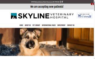 Skynet Security Systems website
