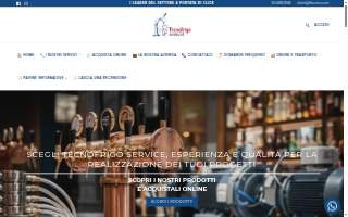 TFM Service Solutions website