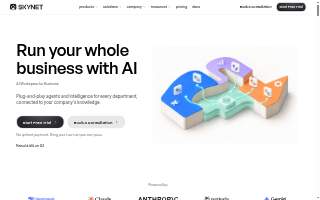Skynet Security Systems website