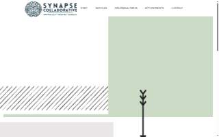 Synapse Collaborative of Carbondale website