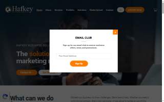 Hafkey Business Solutions website