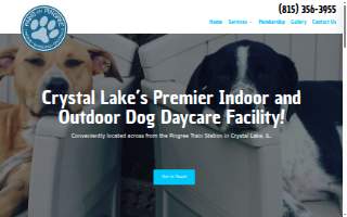 Paws on Pingree Dog Day Care Center website