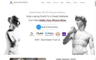 Alpha Efficiency - Web Design Chicago Agency website