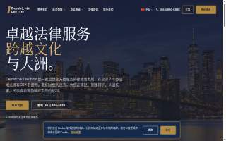 Demidchik Law Firm of Chicago website