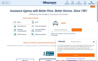 Magnum Insurance Agency of Chicago website