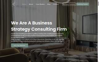 Cayden Cay Consulting website