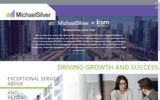 MichaelSilver website