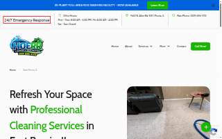 Hoerr Carpet Cleaning and Water Restoration Inc. website