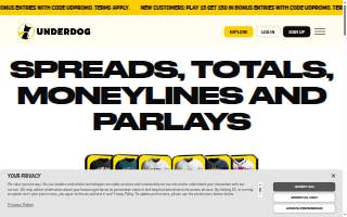 UNDERDOG Sports & Fanfare of East Peoria website