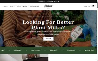 Elmhurst Auto Group website