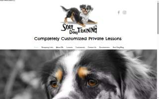 Soul Dog Training of Collinsville website