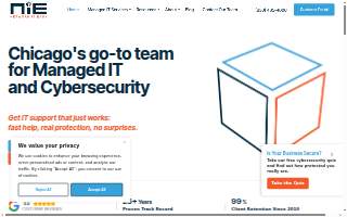Network It Easy Inc of Glen Ellyn website
