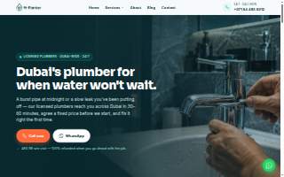 Plumber Near You LLC website