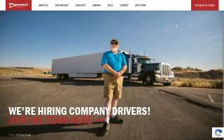 Dynamic Transit Co. website