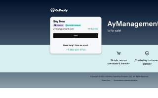 AY Management website