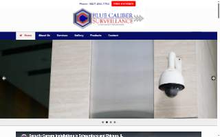 Blue Caliber Surveillance of Hoffman Estates website