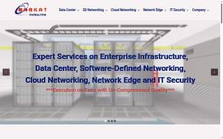 Barkat Consulting LLC website