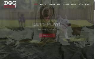 Dogstyle Inc. website