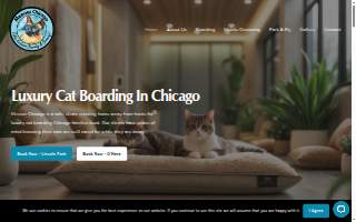 Meeow Chicago - O’Hare website