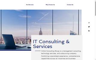 OnDot Consulting, Inc website