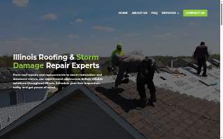 Wise Guys Roofing website