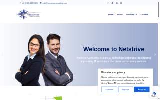 Netstrive Consulting LLC website
