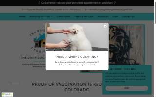 Dirty Dog Grooming website