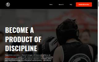 Fight Fitness 618 website