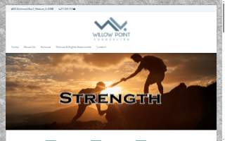Willow Point Counseling website