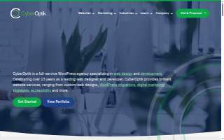 CyberOptik website