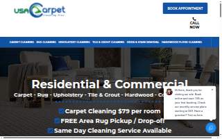 USA Carpet Cleaning Pros website