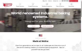 Moline Spa website