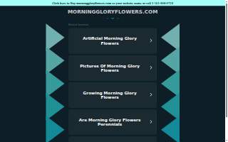 Morning Glory Flower Shop - Wilmette & Glenview Flower Delivery website