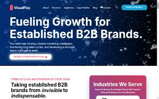 VisualFizz of Morton Grove website