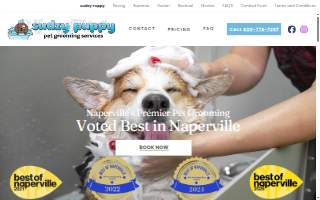 Sudzy Puppy website