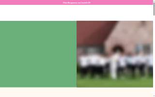 The Organic Cleaning Machine, Inc website