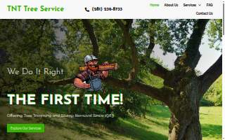 TNT Tree Service & Stump Grinding website