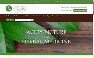 A Touch of Ginger LLC website